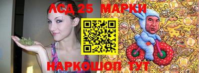 спиды Краснодар
