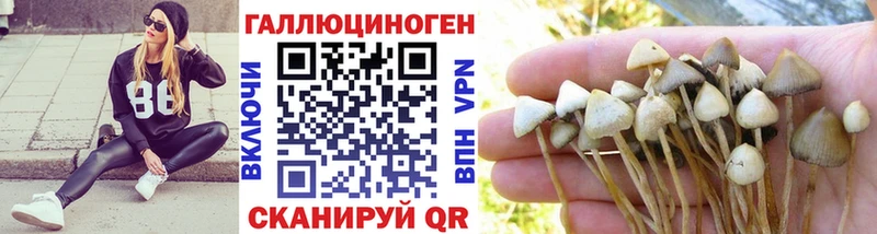 что такое наркотик  Коммунар  Галлюциногенные грибы Psilocybine cubensis 