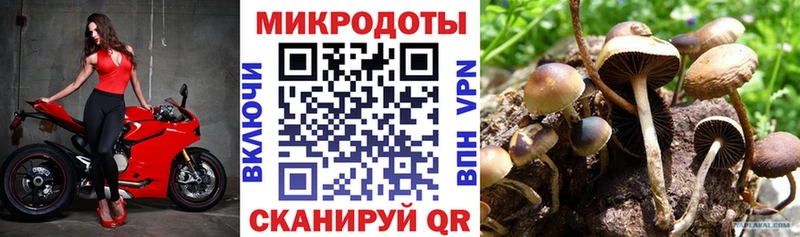 Галлюциногенные грибы мухоморы Коммунар